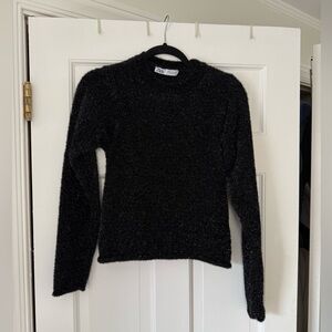 Zara Sparkly Sweater (size Small)